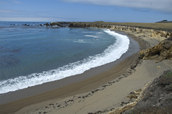 Beach on Point Buchon Trail